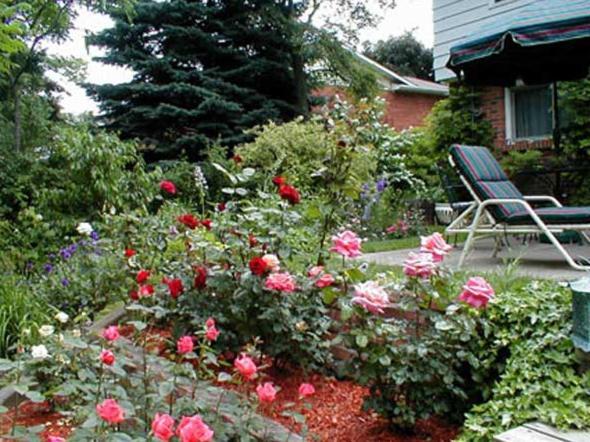 Dorchester House Bed & Breakfast Niagara Falls Exterior foto